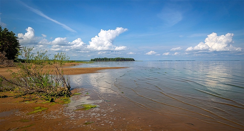 Зимняя рыбалка на Рыбинском водохранилище: где клюет и как ловить