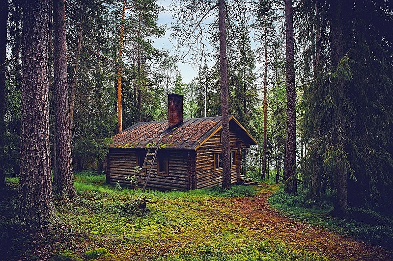 Перловка для рыбалки на плотву