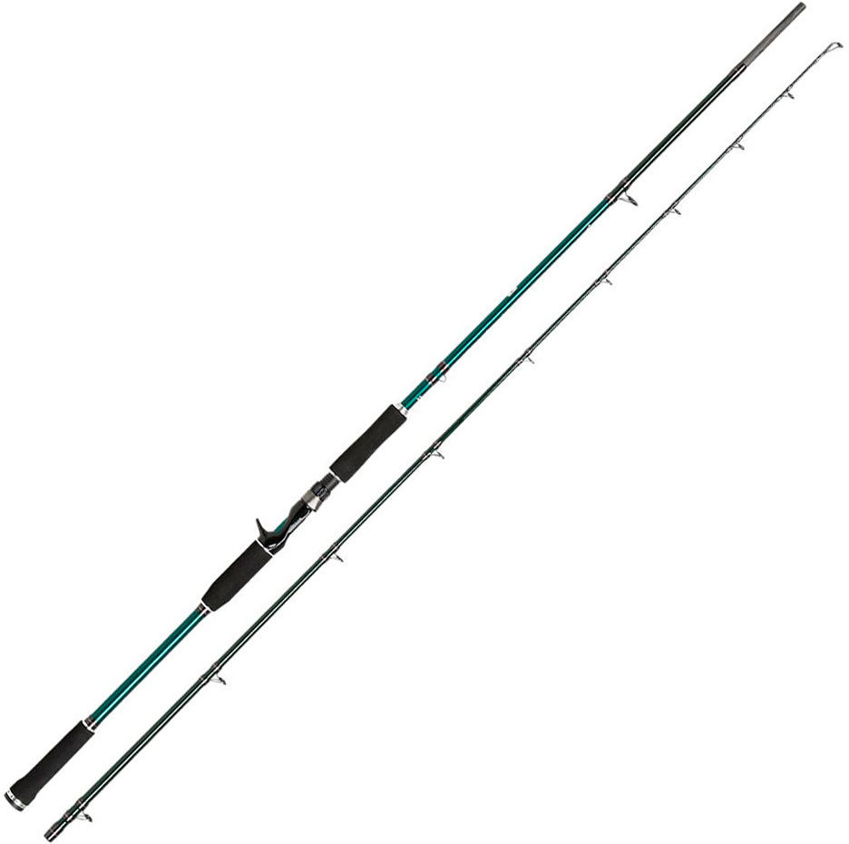 Abu Garcia Beast X Casting Rod