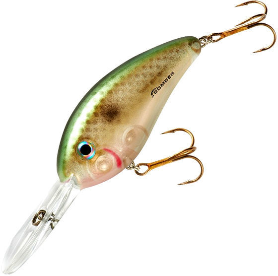 Bomber Fat Free Shad BD7F