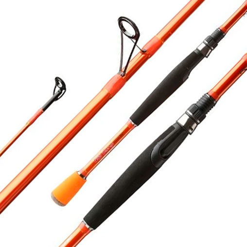 Carrot Stix Wild Orange C2WX