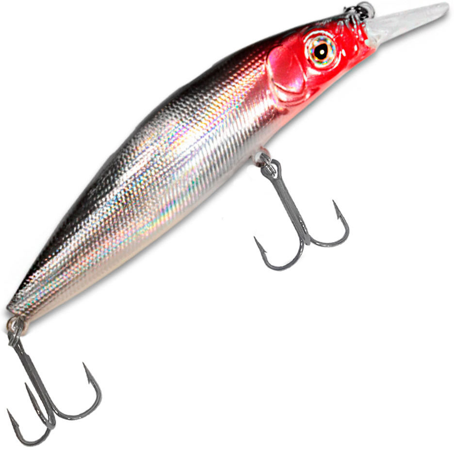 Condor Curjous Minnow