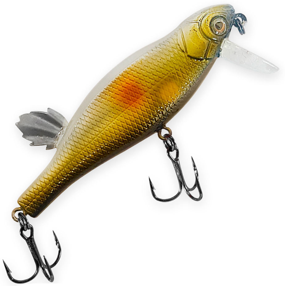 Condor Sick Fish 4436085