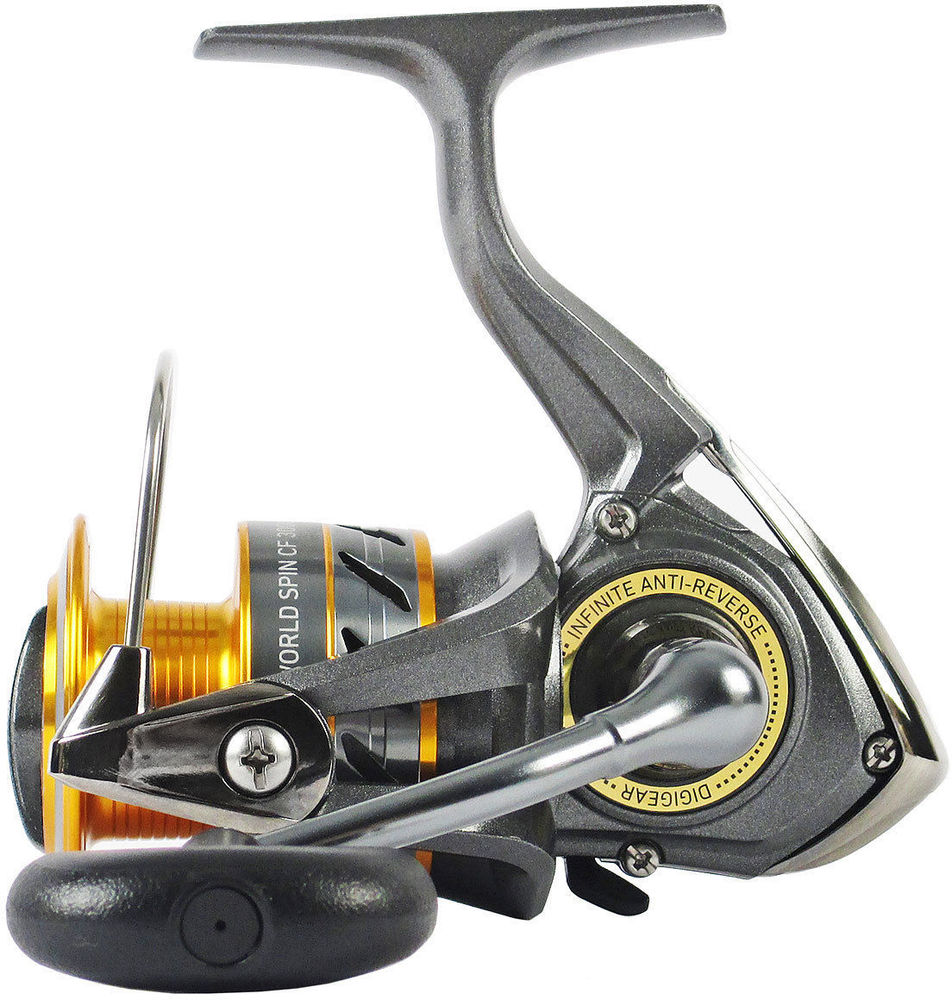 Daiwa 17 World Spin CF