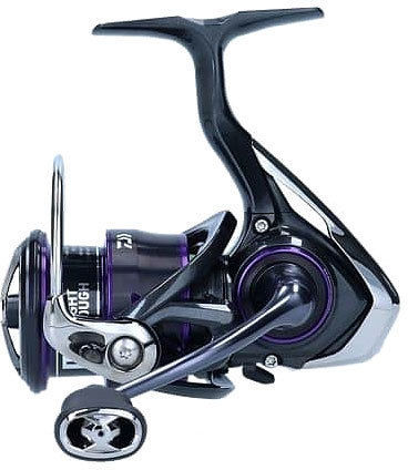 Daiwa 21 Prorex V LT