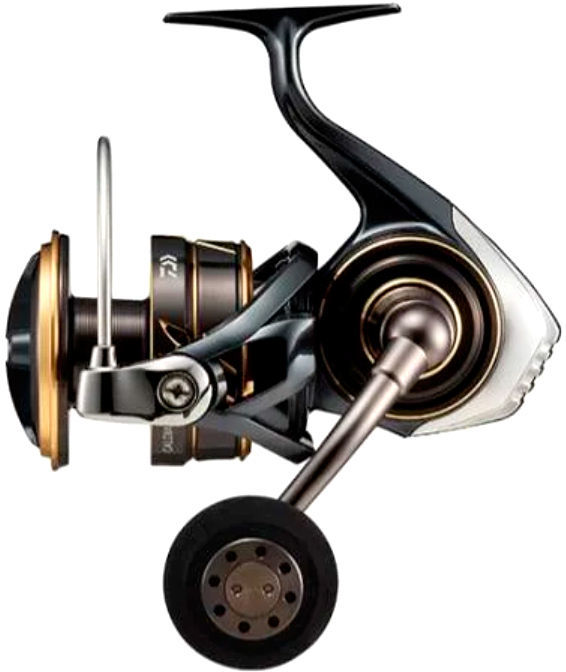 Daiwa 22 Caldia SW