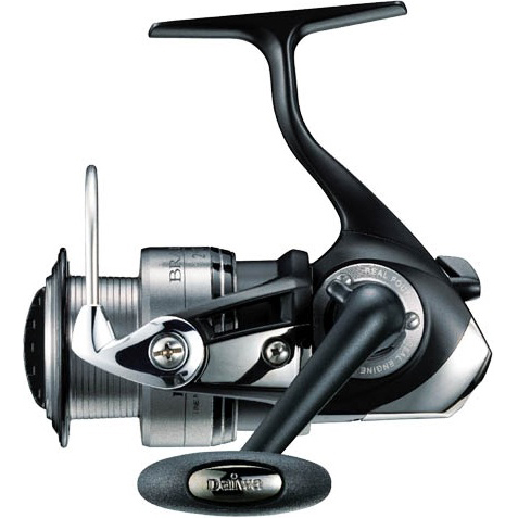 Daiwa Bradia