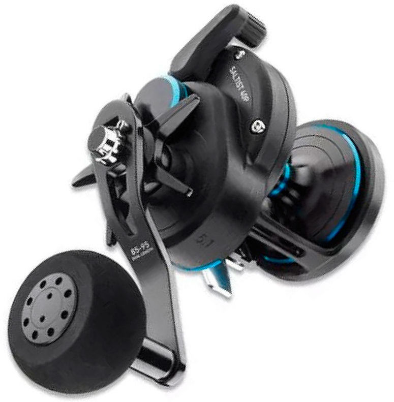 Daiwa Saltist P