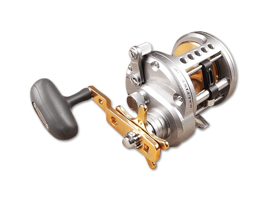 Daiwa Saltist STTLW