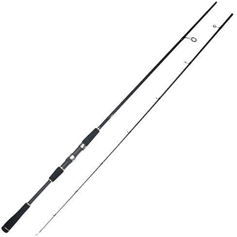 Daiwa SK Sea Bass