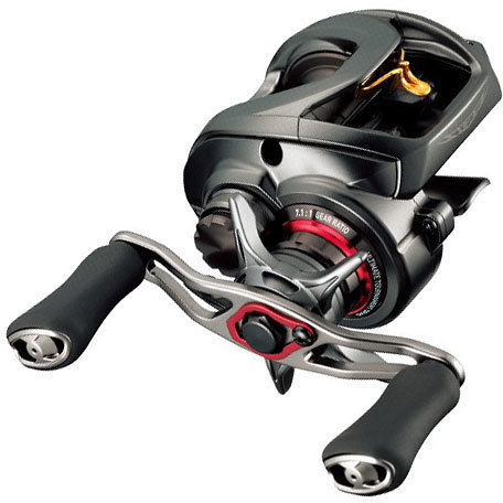 Daiwa Steez SV TW