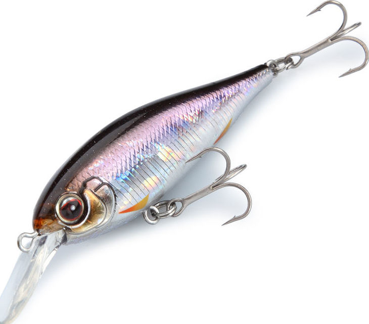 Evergreen Bank Shad