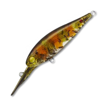 Evergreen Bank Shad Mid