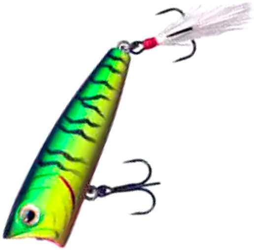 Fish Arrow Best Popper