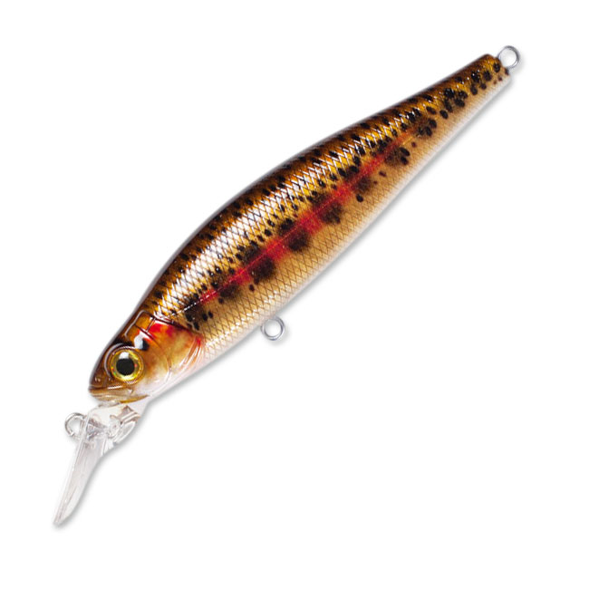 Itumo Fatty Minnow