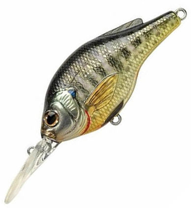 Koppers Blue Gill