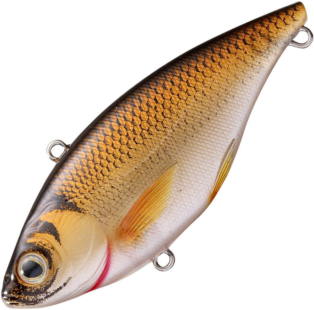 Koppers Golden Shiner