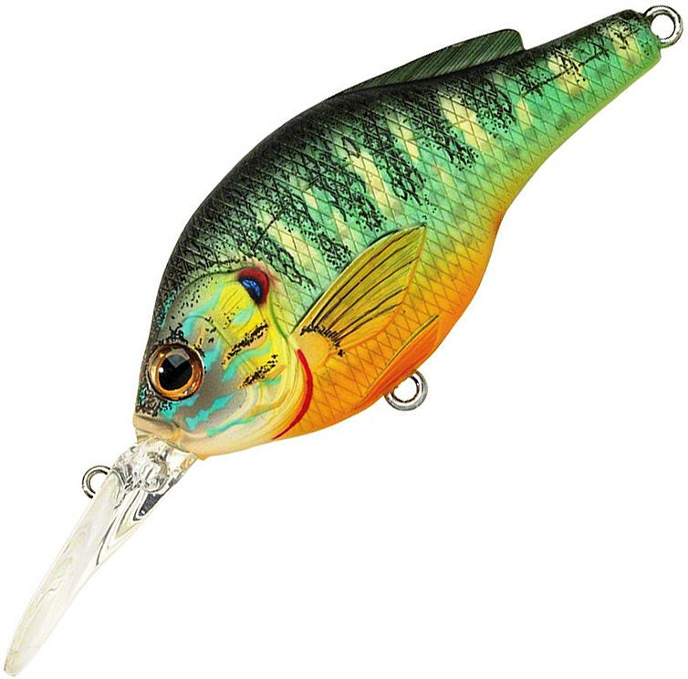 Koppers Pumpkinseed