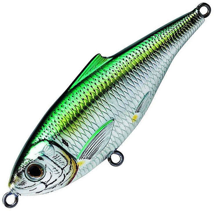 Koppers Scaled Sardine