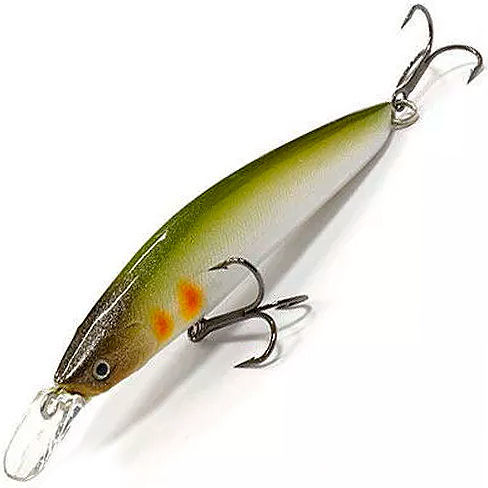 Lucky Craft CommonSence Minnow 95SR Raiou