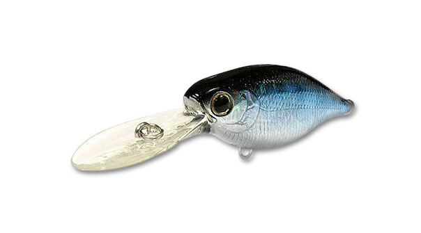 Lucky Craft US Shad