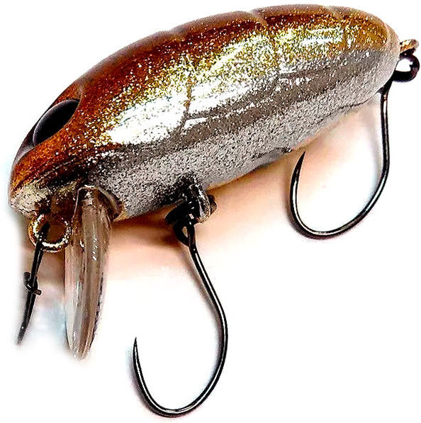 Nories Boss Pupa Shallow