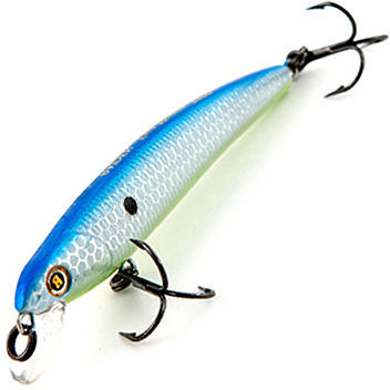 Raiden Fast Minnow