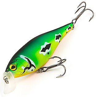 Raiden Ultra Shad