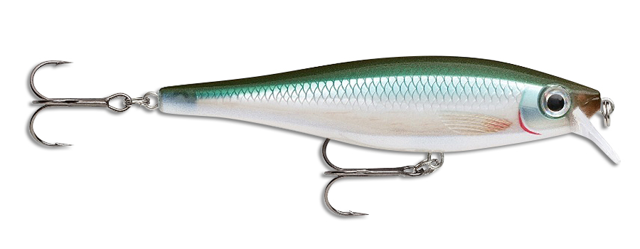 Rapala BX Minnow