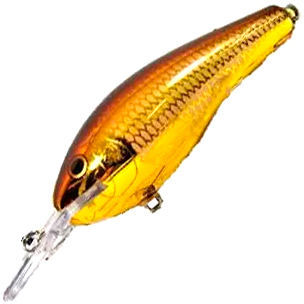 Rapala Fat Rap