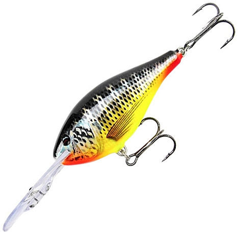 Rapala Risto Rap