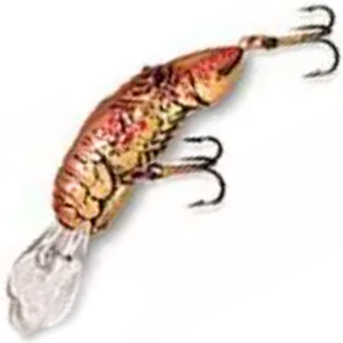 Rebel Big Craw Crawfish D74