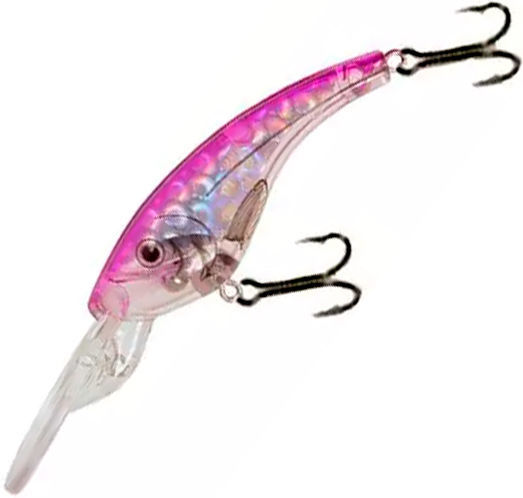 Reef Runner Ripshad