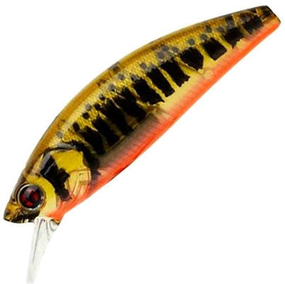 Sakura Phoxy Minnow HW