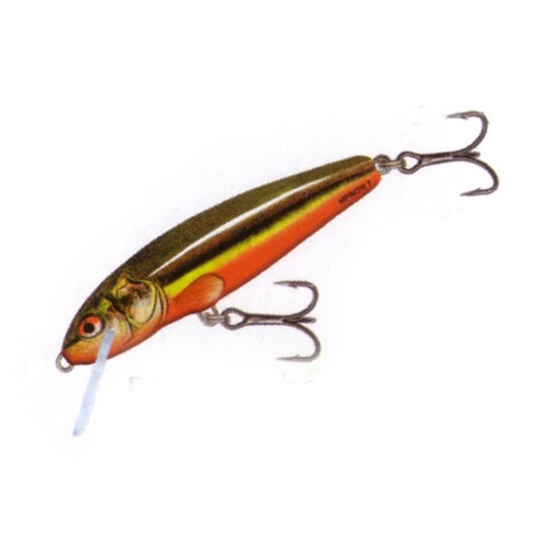 Salmo Minnow