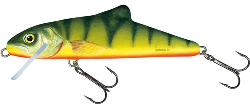 SALMO Skinner