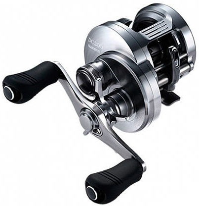 Shimano 19 Calcutta DC