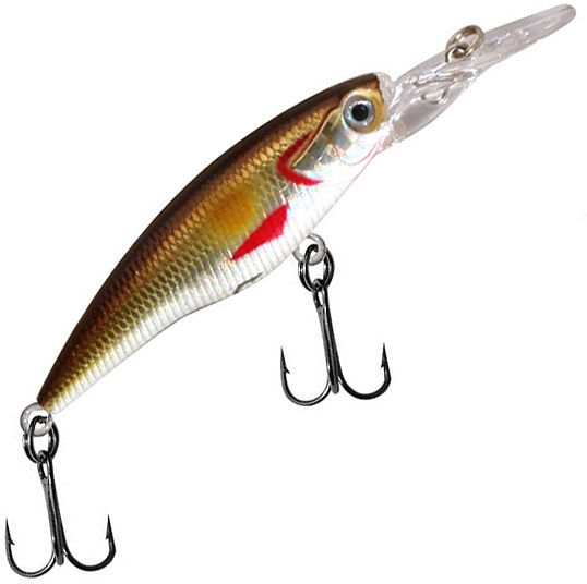 Siweida Assasin Shad