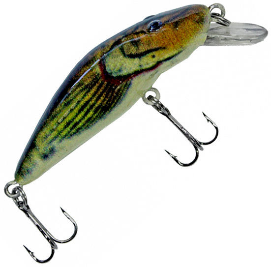 Siweida Bull Minnow