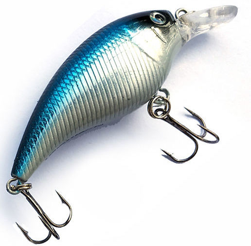 Siweida Mirage Shad