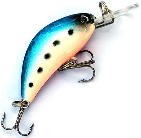 Siweida Orbit Shad