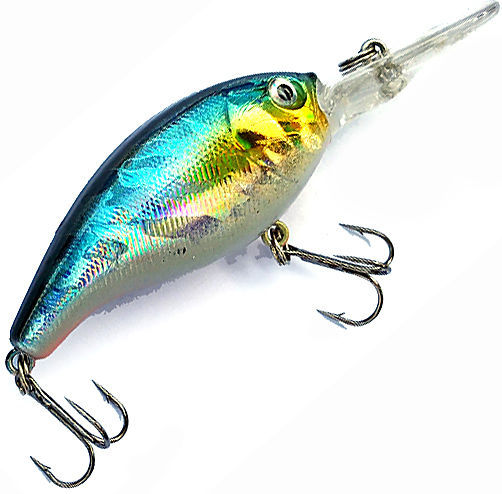 Siweida Virus Shad