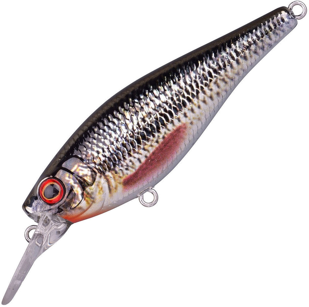 Spro Ikiru Shad SL