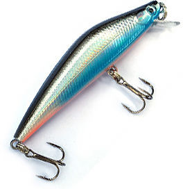 SWD Gibbous Minnow