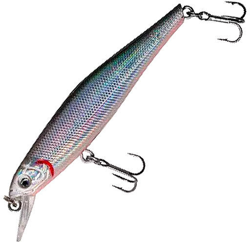 SWD Hunter Minnow