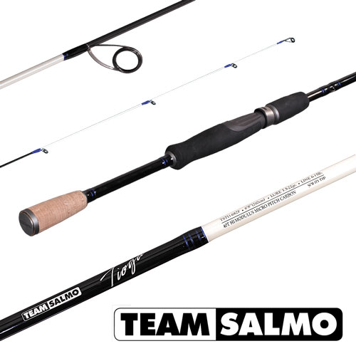 Team Salmo Tioga