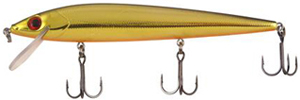 Xcalibur Eeratic Shad XEE4