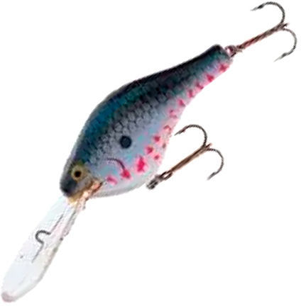 Yakima Bait Poe`s Competition Cedar