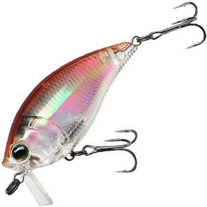 Yo-Zuri 3DR Wake Bait