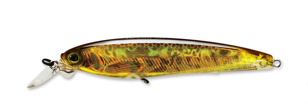 Yo-Zuri 3DS Minnow 100SP